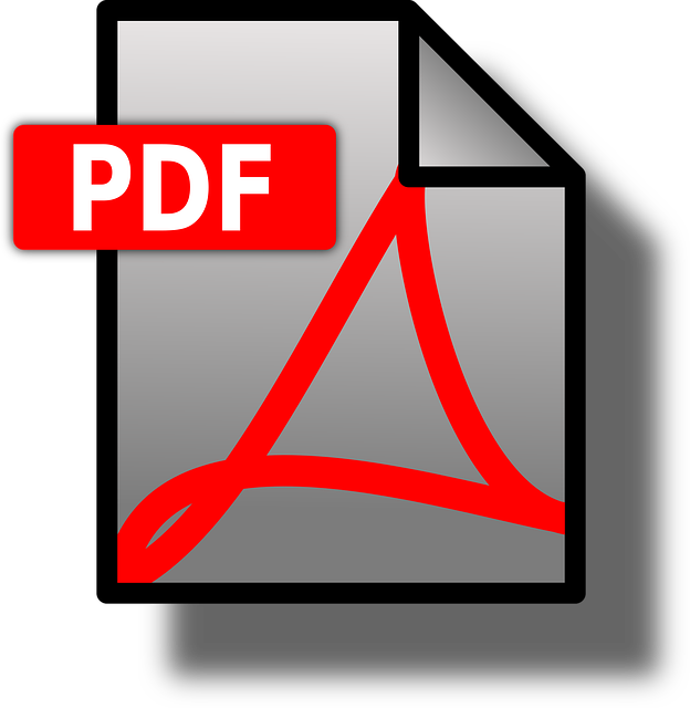 Logo PDF Dokument zum download